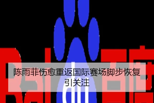 陈雨菲伤愈重返国际赛场脚步恢复引关注