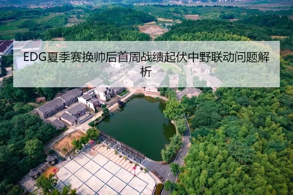 EDG夏季赛换帅后首周战绩起伏中野联动问题解析